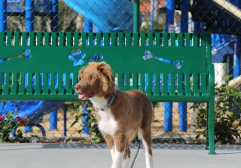 ホテル Four Seasons Residence Club Aviara