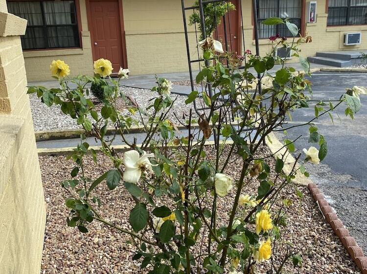 Отель Madill Inn