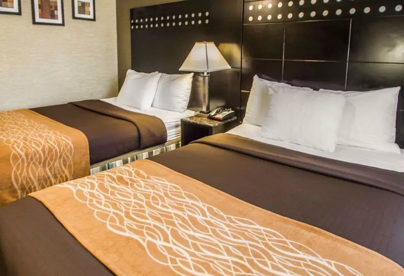 호텔 Rodeway Inn Bronx Zoo