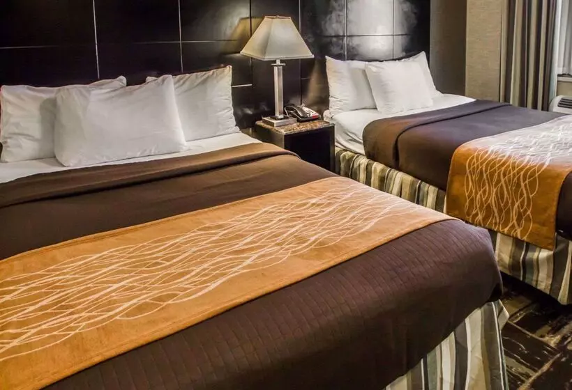 호텔 Rodeway Inn Bronx Zoo