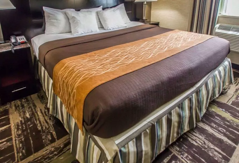 호텔 Rodeway Inn Bronx Zoo