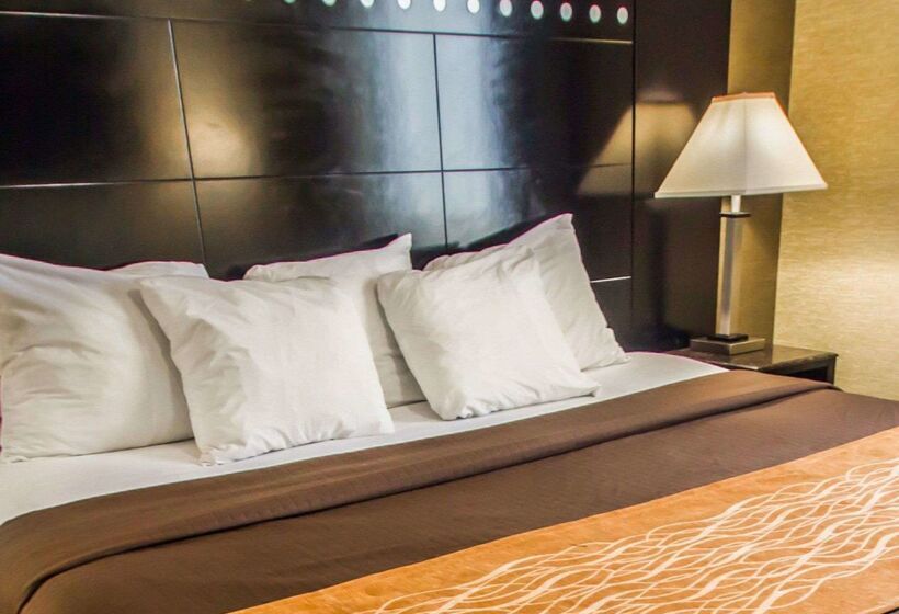 בית מלון כפרי Rodeway Inn Bronx Zoo