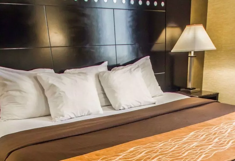 호텔 Rodeway Inn Bronx Zoo