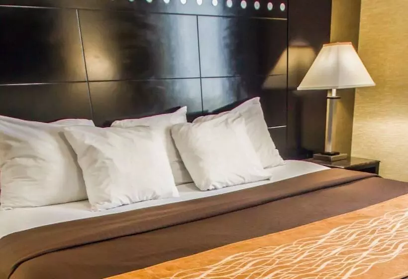 호텔 Rodeway Inn Bronx Zoo