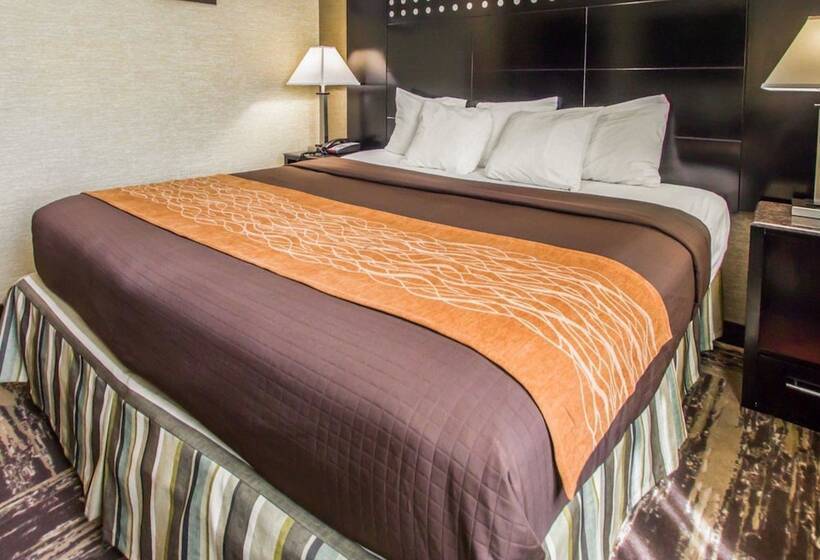 בית מלון כפרי Rodeway Inn Bronx Zoo