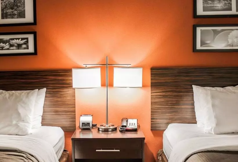 酒店 Sleep Inn & Suites Fort Campbell