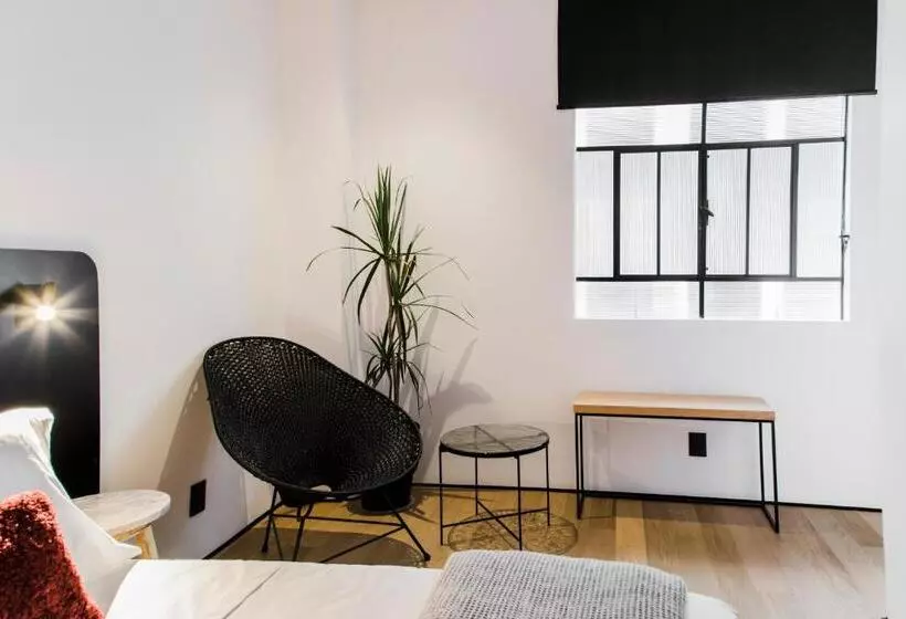 Stayinn Barefoot Condesa   Hostel