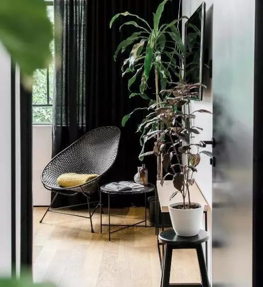 Stayinn Barefoot Condesa   Hostel