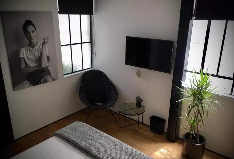 Stayinn Barefoot Condesa   Hostel