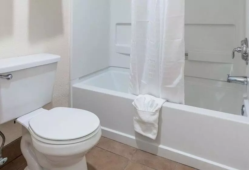 Hotel Baymont By Wyndham Punta Gorda/port Charlotte