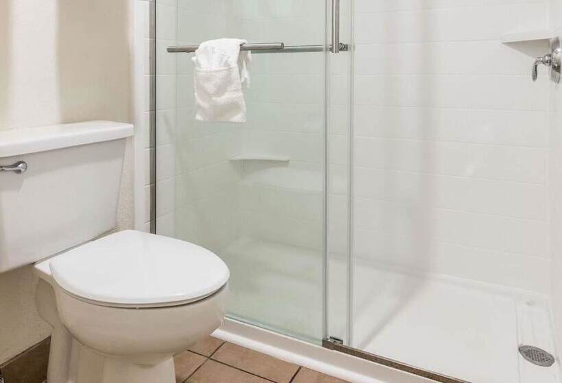 ホテル Baymont By Wyndham Punta Gorda/port Charlotte