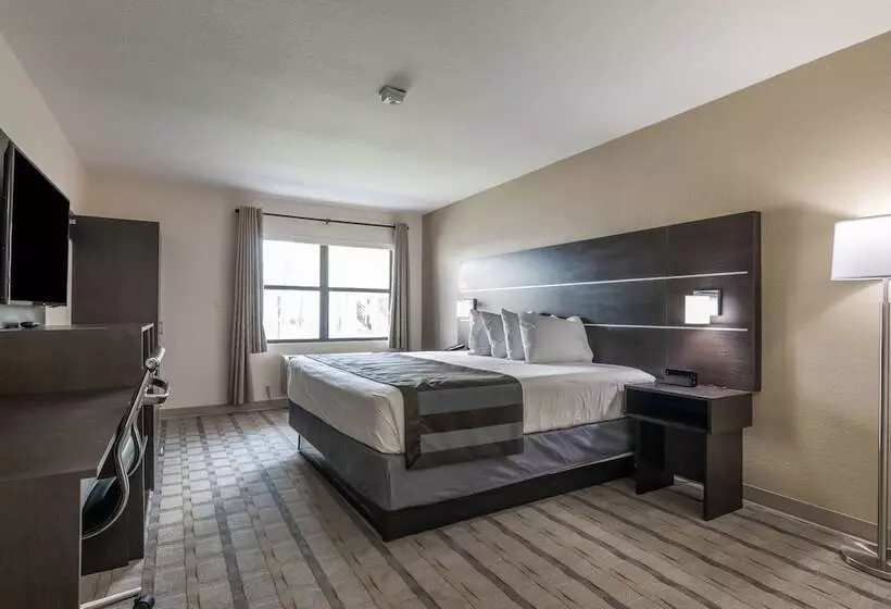 Hotel Baymont By Wyndham Punta Gorda/port Charlotte