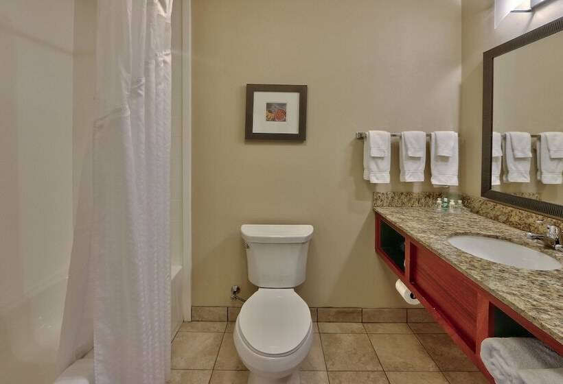 فندق Holiday Inn Roswell, An Ihg