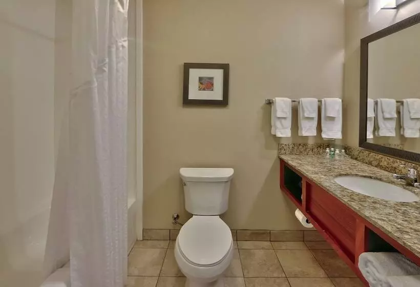 酒店 Holiday Inn Roswell, An Ihg