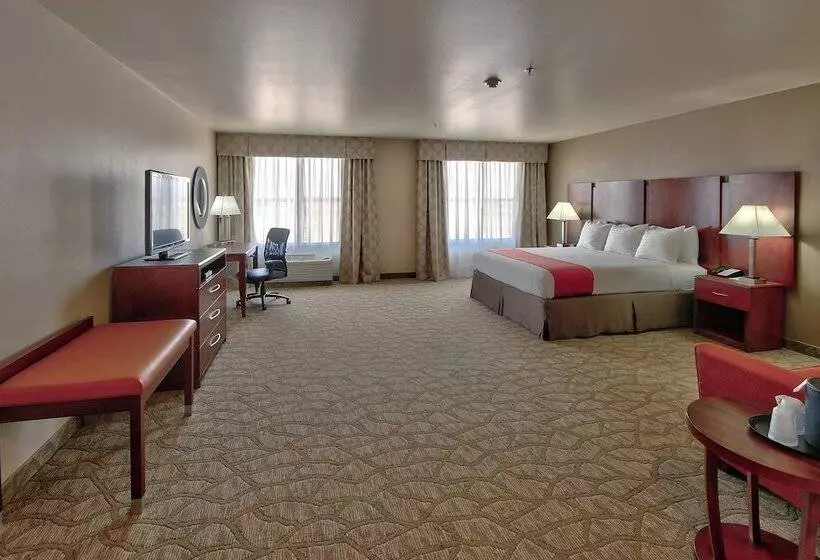 酒店 Holiday Inn Roswell, An Ihg