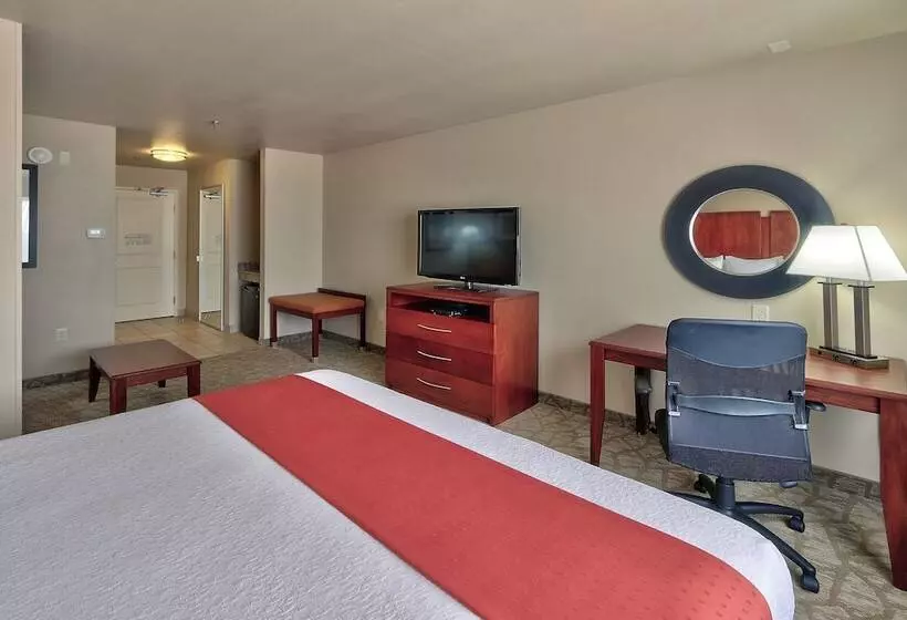 酒店 Holiday Inn Roswell, An Ihg