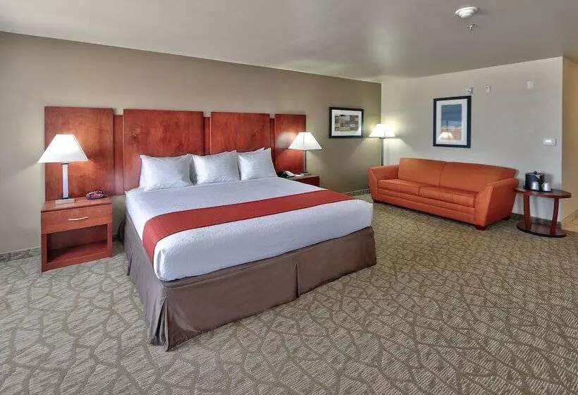 酒店 Holiday Inn Roswell, An Ihg