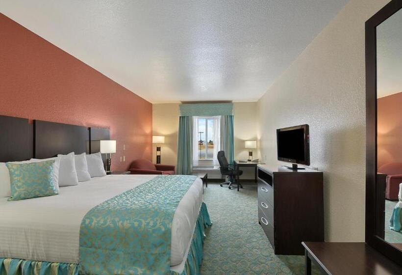 Hotel Ramada By Wyndham South Waco