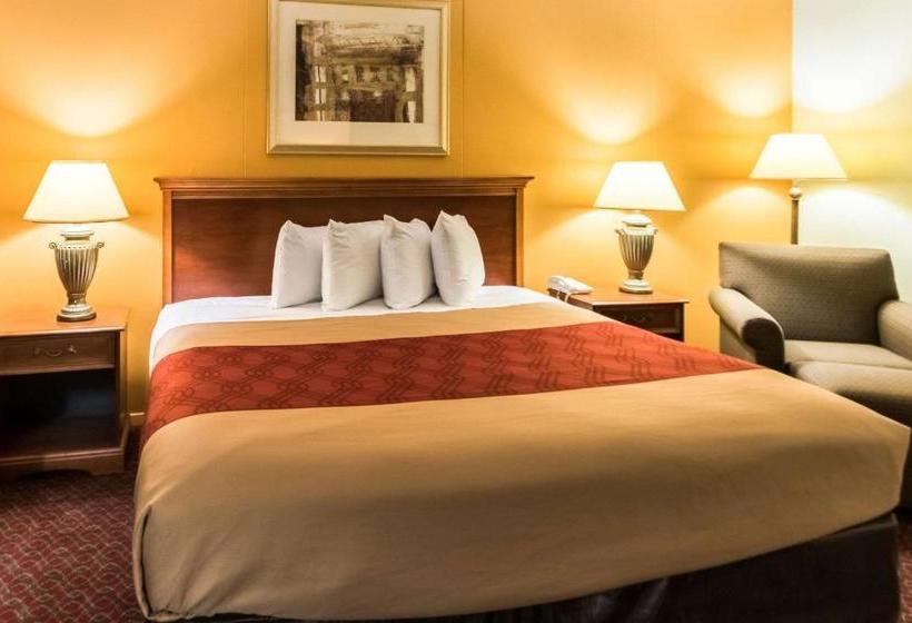 فندق Red Carpet Inn