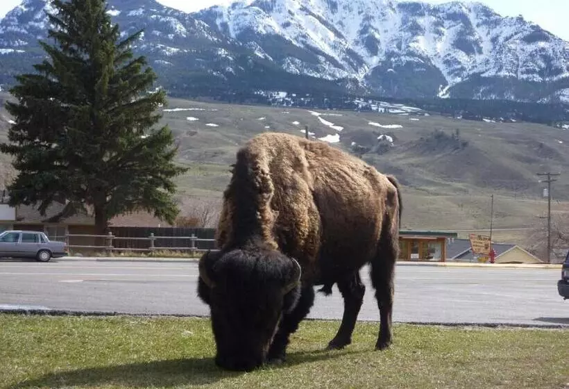 בית מלון כפרי Yellowstone Gateway Inn