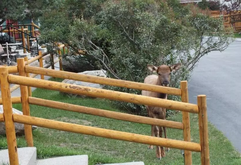 בית מלון כפרי Yellowstone Gateway Inn