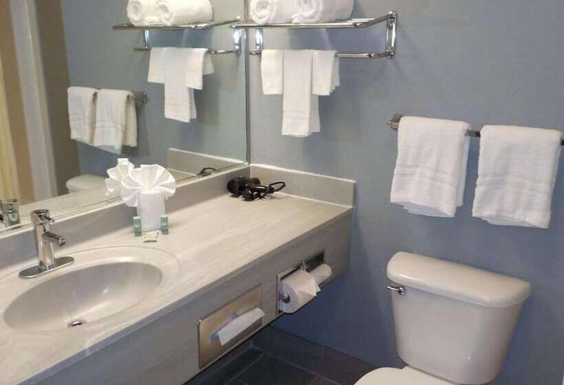 فندق على الطريق Budget Inn Express