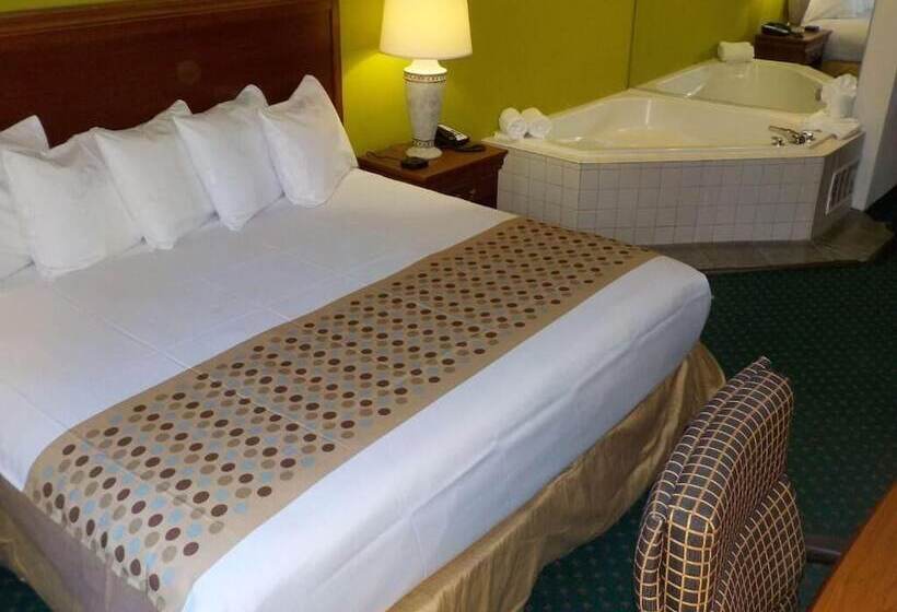 فندق على الطريق Budget Inn Express