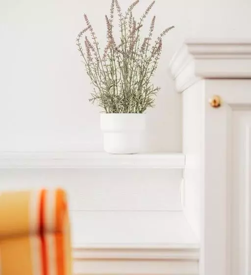 Self Check In Hotel Adlon