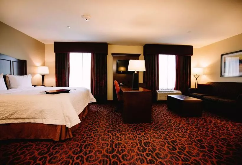 Hampton Inn & Suites Minot Airport