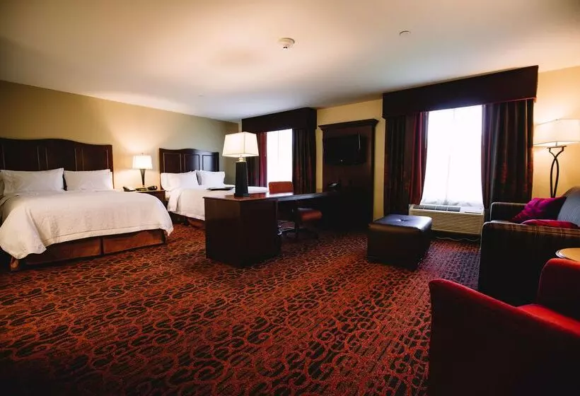 Hampton Inn & Suites Minot Airport