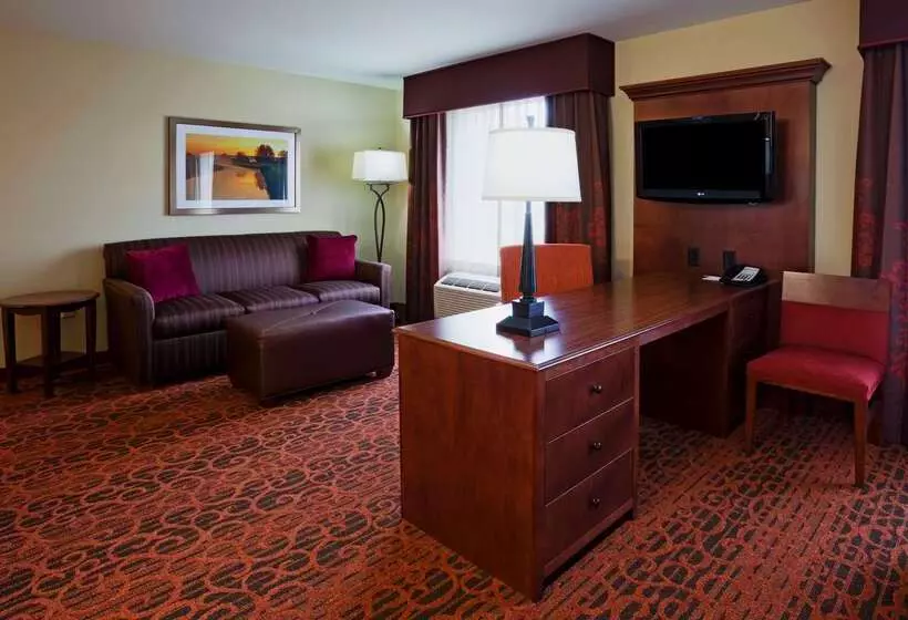 Hampton Inn & Suites Minot Airport