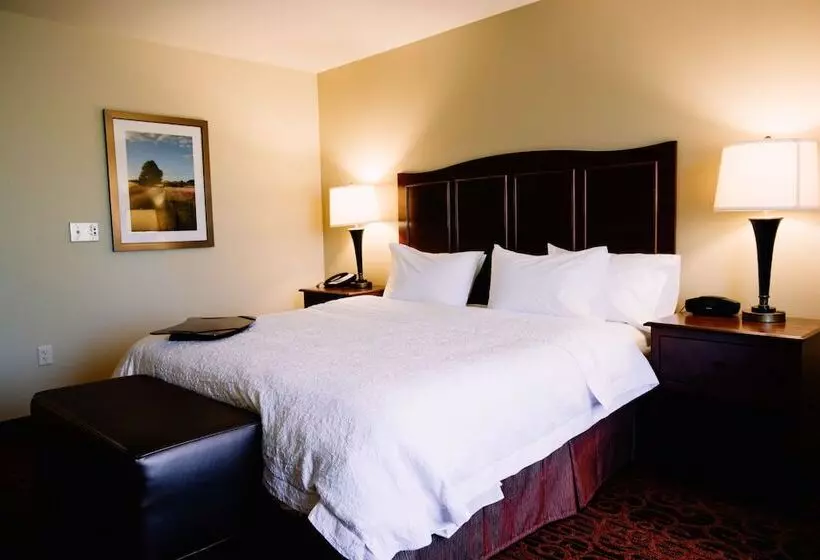 Hampton Inn & Suites Minot Airport