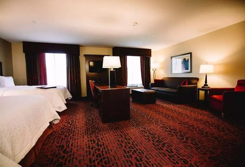 Hampton Inn & Suites Minot Airport