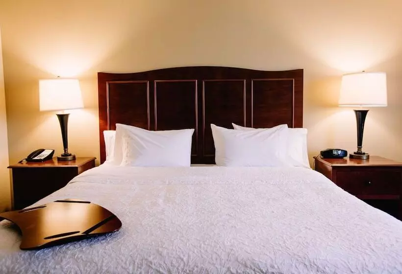 Hampton Inn & Suites Minot Airport