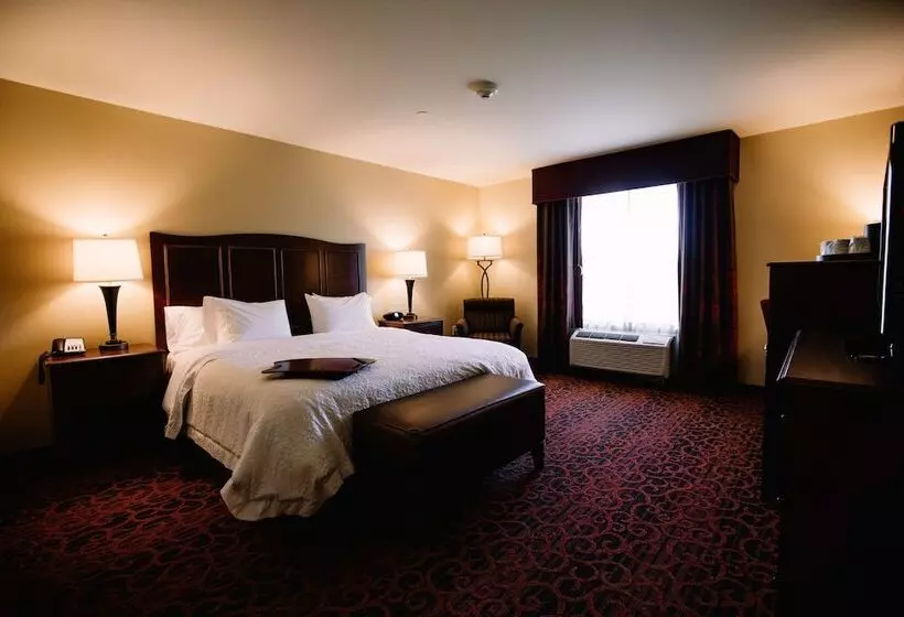 Hampton Inn & Suites Minot Airport