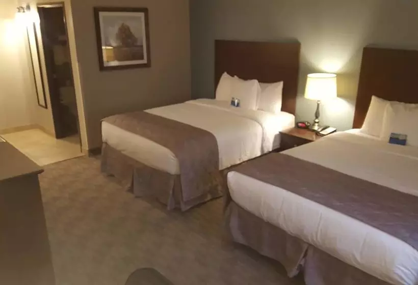 酒店 Baymont By Wyndham Minot