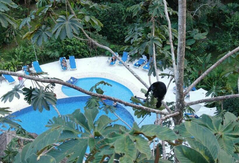 בית מלון כפרי Cariblue Beach and Jungle Resort