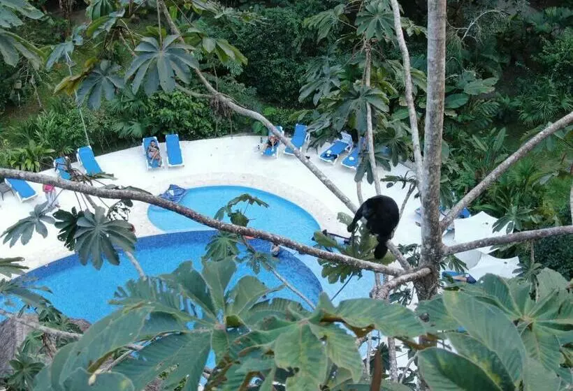 فندق Cariblue Beach and Jungle Resort