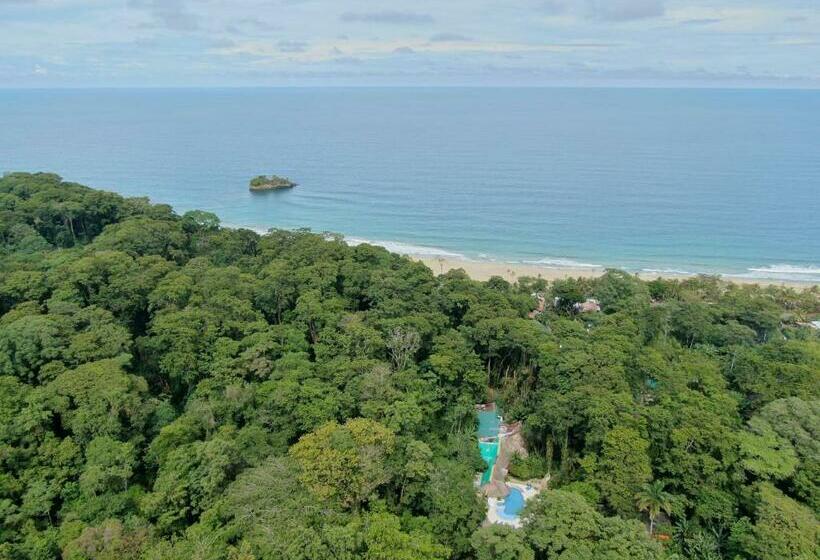 בית מלון כפרי Cariblue Beach and Jungle Resort