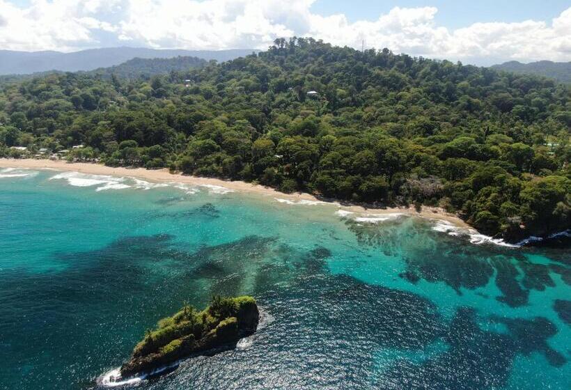 בית מלון כפרי Cariblue Beach and Jungle Resort