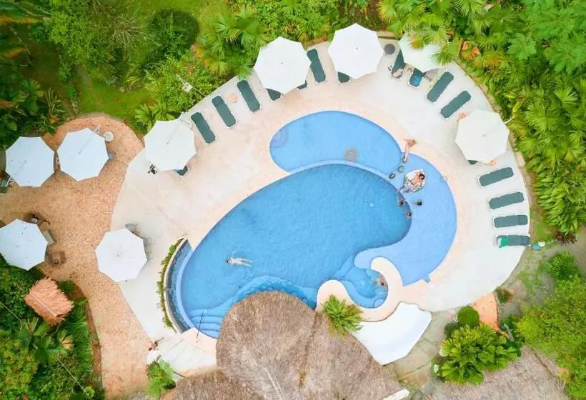 فندق Cariblue Beach and Jungle Resort