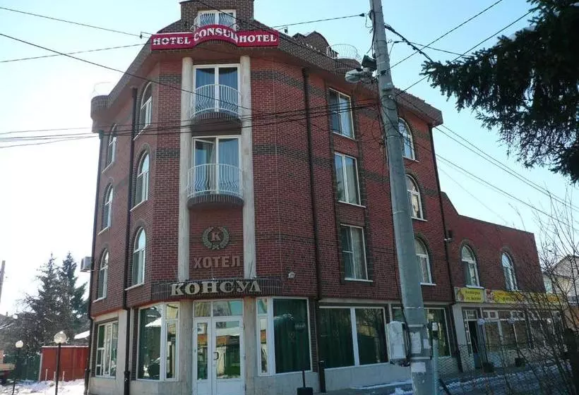 Отель Consul