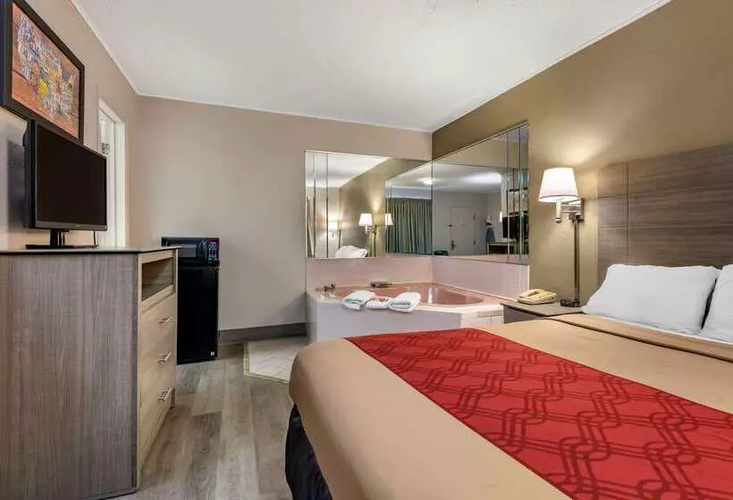 Hotel Econo Lodge Dewitt I 90