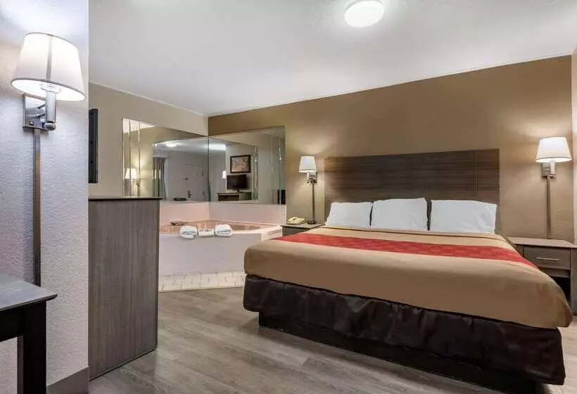 Hotel Econo Lodge Dewitt I 90