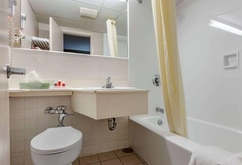 בית מלון כפרי Econo Lodge Dewitt I 90