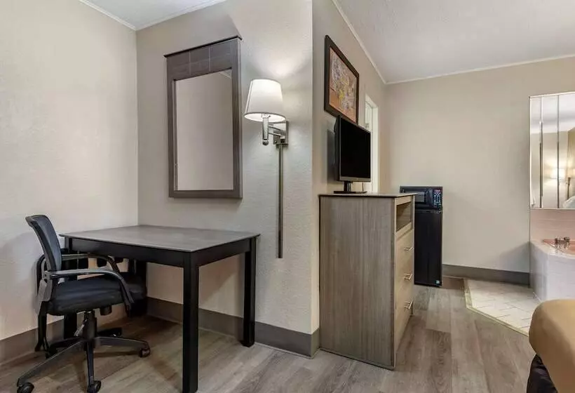 Hotel Econo Lodge Dewitt I 90