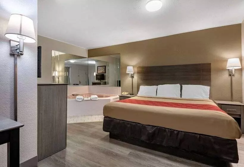 Hotel Econo Lodge Dewitt I 90