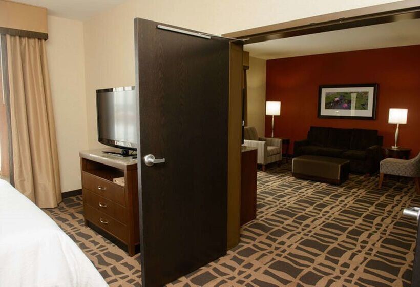 ホテル Hilton Garden Inn Dayton South Austin Landing