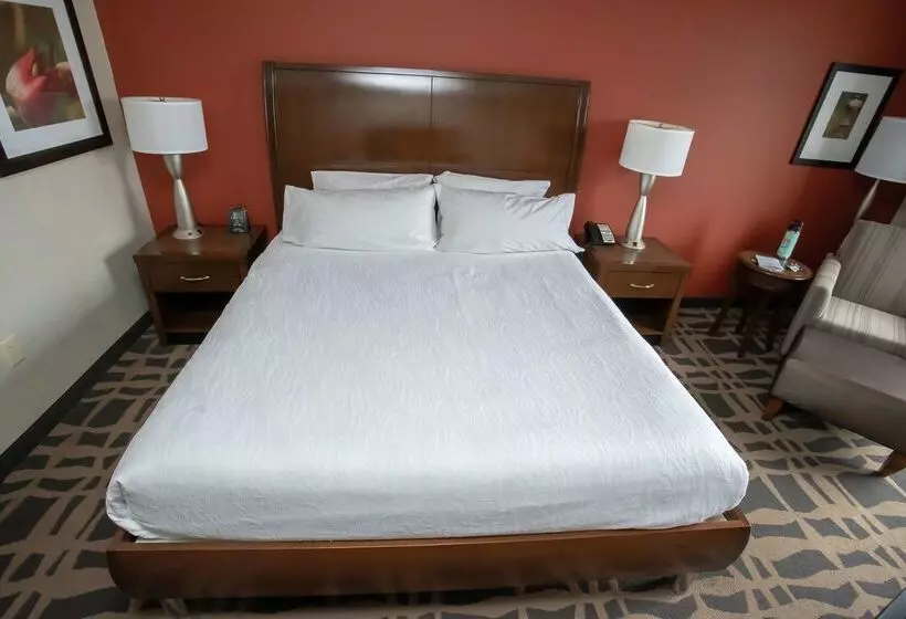 호텔 Hilton Garden Inn Dayton South Austin Landing