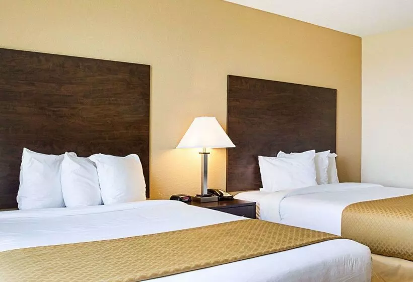 ホテル Quality Inn & Suites